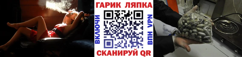 мориарти официальный сайт  Волгоград  ГАШ убойный 