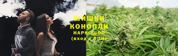 шишки Алзамай