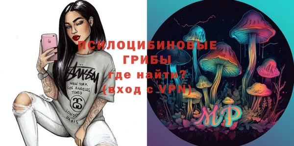 шишки Алзамай